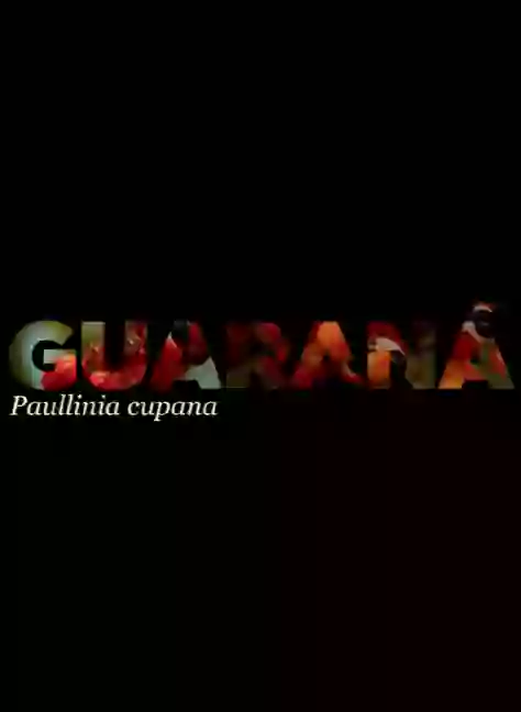 Promotional GIF